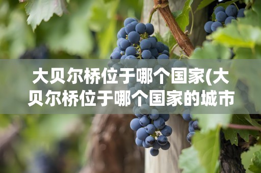 大贝尔桥位于哪个国家(大贝尔桥位于哪个国家的城市)