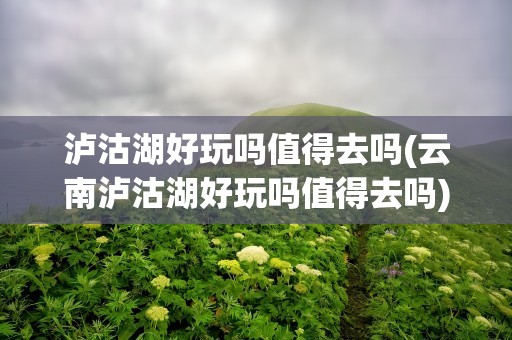 泸沽湖好玩吗值得去吗(云南泸沽湖好玩吗值得去吗)