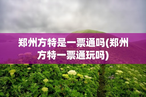 郑州方特是一票通吗(郑州方特一票通玩吗)