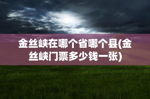 金丝峡在哪个省哪个县(金丝峡门票多少钱一张)