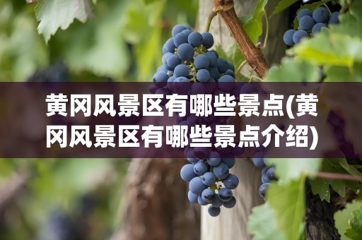 黄冈风景区有哪些景点(黄冈风景区有哪些景点介绍)