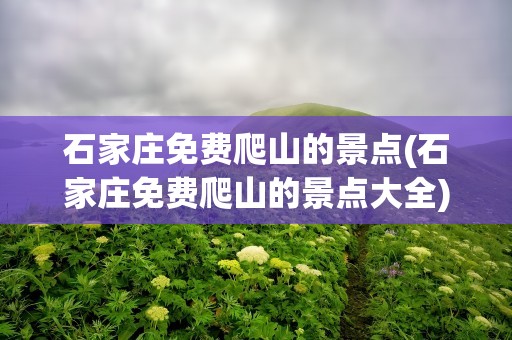 石家庄免费爬山的景点(石家庄免费爬山的景点大全)