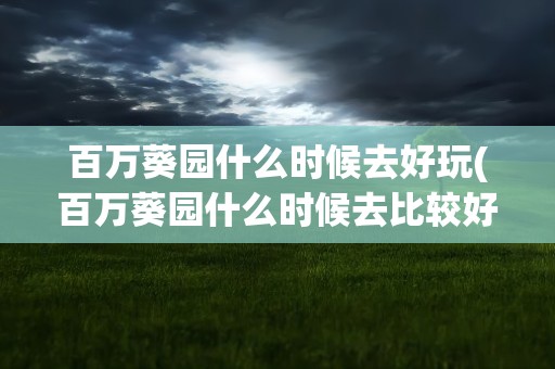 百万葵园什么时候去好玩(百万葵园什么时候去比较好)