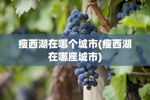 瘦西湖在哪个城市(瘦西湖在哪座城市)