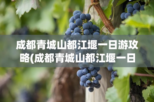 成都青城山都江堰一日游攻略(成都青城山都江堰一日游价格)