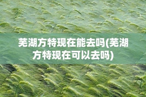 芜湖方特现在能去吗(芜湖方特现在可以去吗)