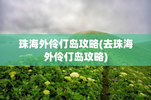 珠海外伶仃岛攻略(去珠海外伶仃岛攻略)