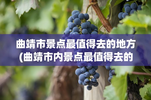 曲靖市景点最值得去的地方(曲靖市内景点最值得去的地方)