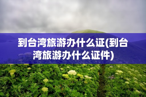 到台湾旅游办什么证(到台湾旅游办什么证件)