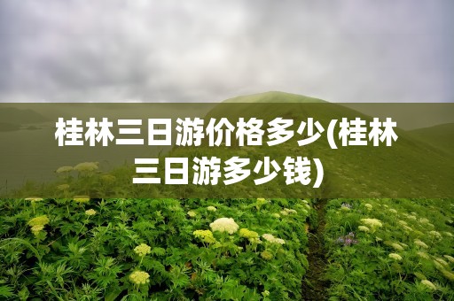桂林三日游价格多少(桂林三日游多少钱)
