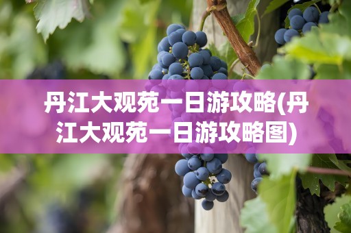 丹江大观苑一日游攻略(丹江大观苑一日游攻略图)