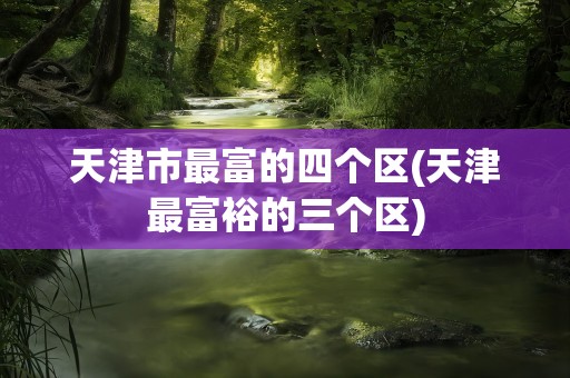 天津市最富的四个区(天津最富裕的三个区)