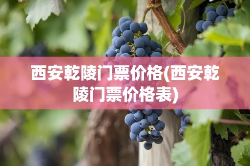 西安乾陵门票价格(西安乾陵门票价格表)