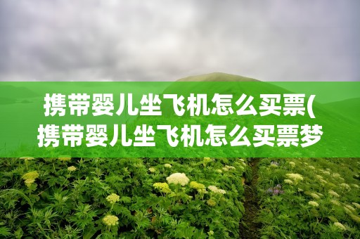 携带婴儿坐飞机怎么买票(携带婴儿坐飞机怎么买票梦到大火烧屋子)