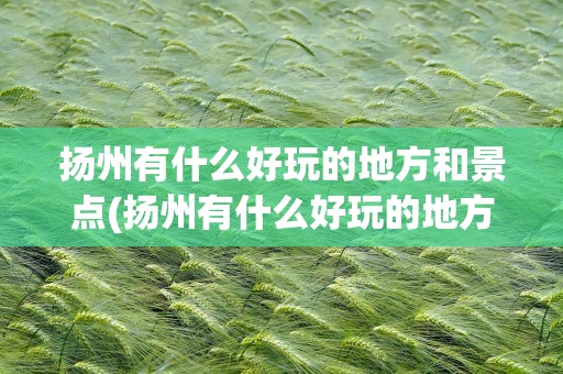 扬州有什么好玩的地方和景点(扬州有什么好玩的地方和景点吗)