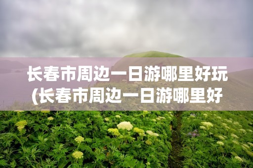 长春市周边一日游哪里好玩(长春市周边一日游哪里好玩的)