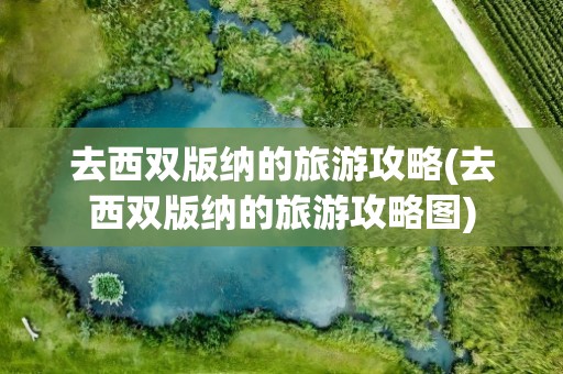 去西双版纳的旅游攻略(去西双版纳的旅游攻略图)