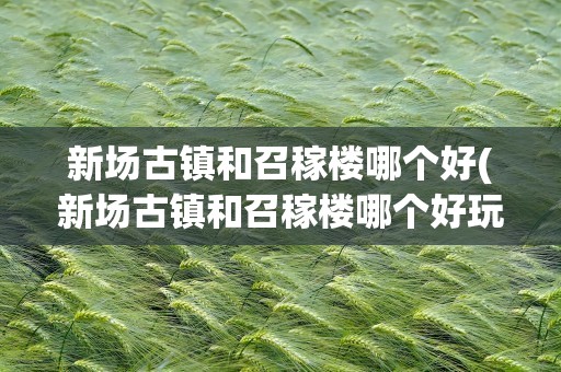 新场古镇和召稼楼哪个好(新场古镇和召稼楼哪个好玩)