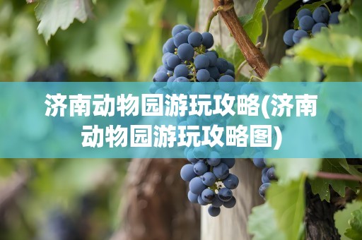 济南动物园游玩攻略(济南动物园游玩攻略图)