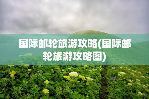 国际邮轮旅游攻略(国际邮轮旅游攻略图)