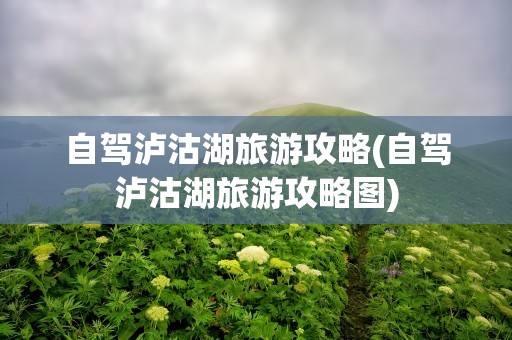 自驾泸沽湖旅游攻略(自驾泸沽湖旅游攻略图)