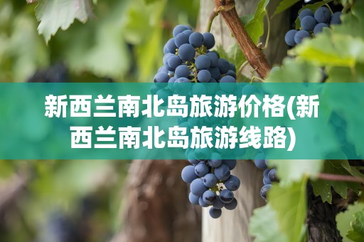 新西兰南北岛旅游价格(新西兰南北岛旅游线路)