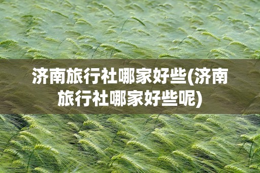 济南旅行社哪家好些(济南旅行社哪家好些呢)