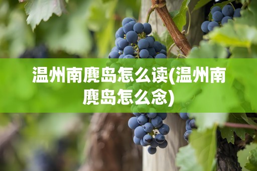 温州南麂岛怎么读(温州南麂岛怎么念)