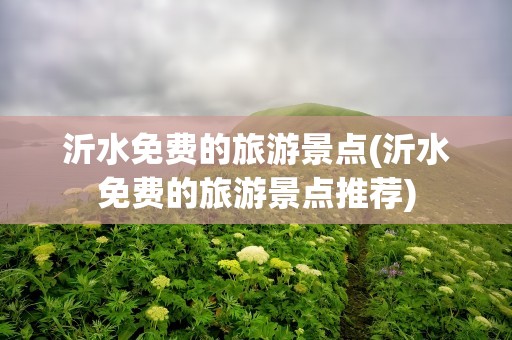 沂水免费的旅游景点(沂水免费的旅游景点推荐)