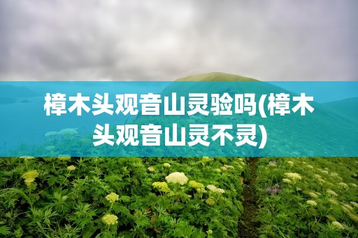 樟木头观音山灵验吗(樟木头观音山灵不灵)