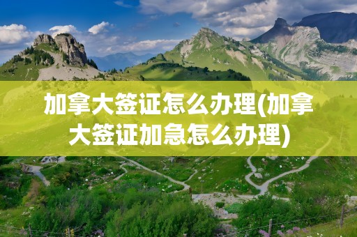 加拿大签证怎么办理(加拿大签证加急怎么办理)