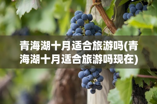 青海湖十月适合旅游吗(青海湖十月适合旅游吗现在)