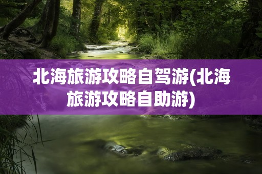 北海旅游攻略自驾游(北海旅游攻略自助游)