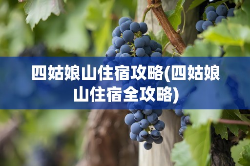 四姑娘山住宿攻略(四姑娘山住宿全攻略)
