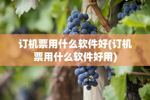 订机票用什么软件好(订机票用什么软件好用)