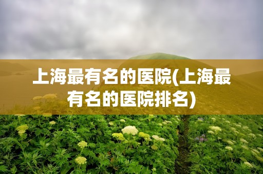 上海最有名的医院(上海最有名的医院排名)