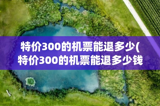特价300的机票能退多少(特价300的机票能退多少钱)