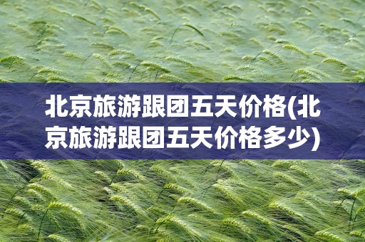 北京旅游跟团五天价格(北京旅游跟团五天价格多少)