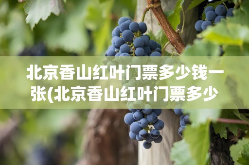 北京香山红叶门票多少钱一张(北京香山红叶门票多少钱一张啊)