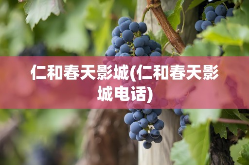 仁和春天影城(仁和春天影城电话)