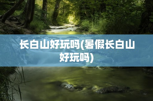 长白山好玩吗(暑假长白山好玩吗)