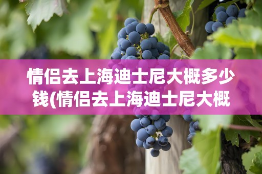 情侣去上海迪士尼大概多少钱(情侣去上海迪士尼大概多少钱啊)