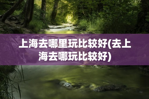 上海去哪里玩比较好(去上海去哪玩比较好)