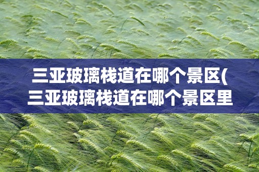 三亚玻璃栈道在哪个景区(三亚玻璃栈道在哪个景区里)