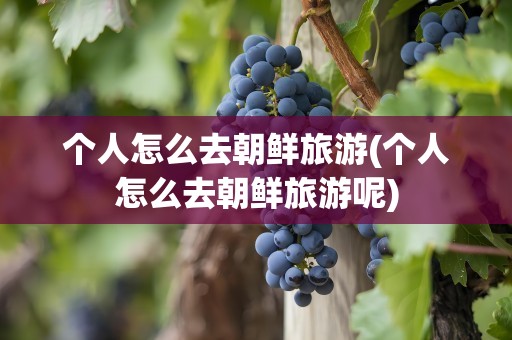 个人怎么去朝鲜旅游(个人怎么去朝鲜旅游呢)