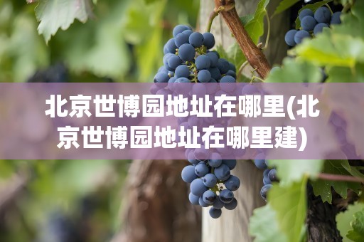 北京世博园地址在哪里(北京世博园地址在哪里建)