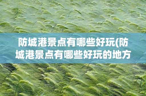 防城港景点有哪些好玩(防城港景点有哪些好玩的地方)