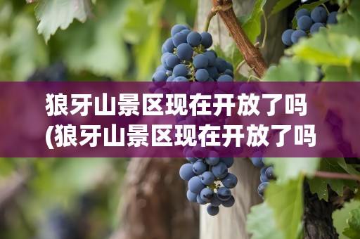 狼牙山景区现在开放了吗 (狼牙山景区现在开放了吗)