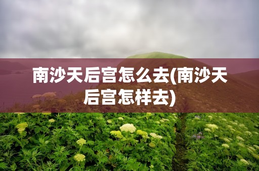 南沙天后宫怎么去(南沙天后宫怎样去)