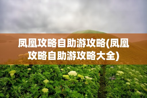 凤凰攻略自助游攻略(凤凰攻略自助游攻略大全)